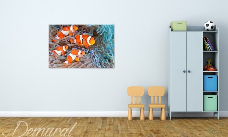 das wand aquarium wandbilder fur kinder bilder demural